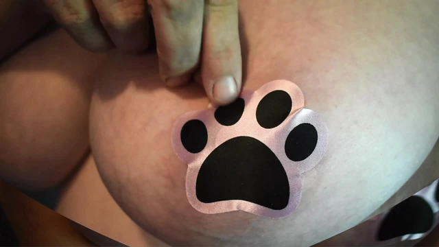 POV Puppy Paw Pasties on DDD Titties for You to Cum On!!