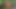 Peasant boy meets an Indian woman in the middle of the forest and ends up giving her the best fuck of his life