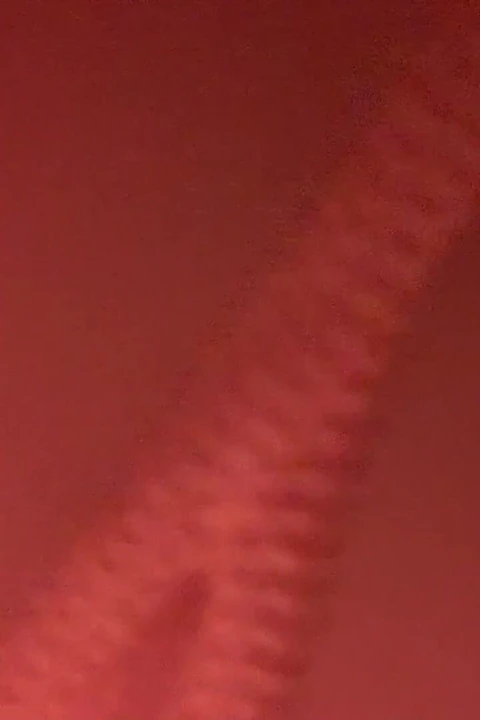 离开你的灵魂，到我的屁股上！