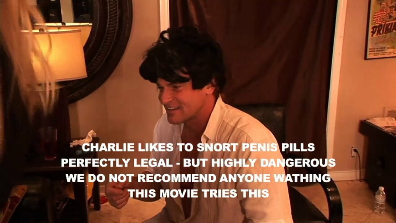 Charlie's Porn Adventure - VOL #01