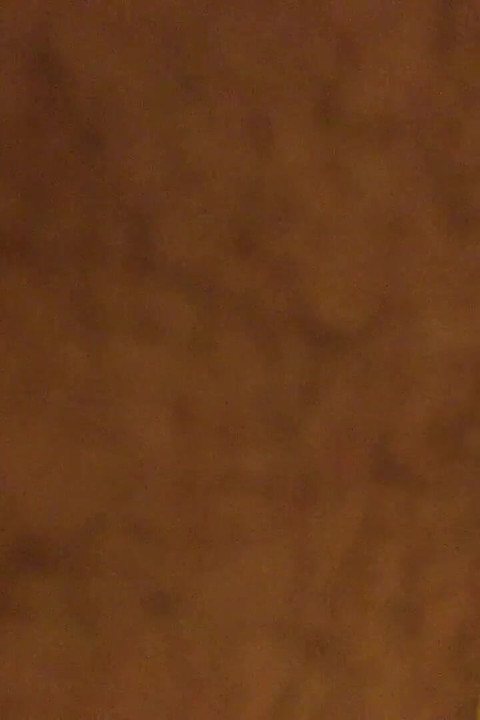 Indonesian Secret Blowjob Cam