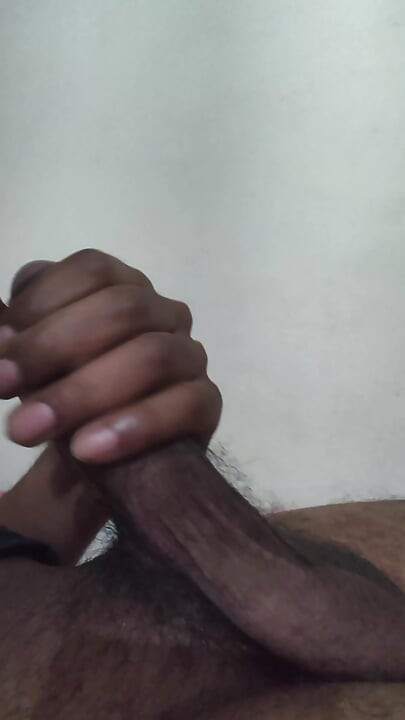 Meu pênis lascivos