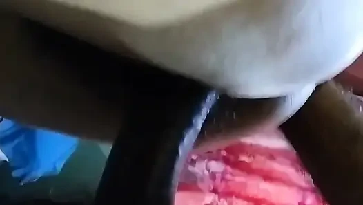 Gaya Doggy Mei Dala Garma Garam Chut Mei