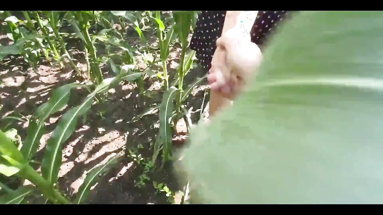 옥수수 밭에서 소녀를 따먹어 - 야외 섹스