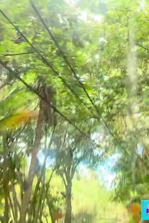 Sfw putovanje u Hanu za Suzy Wylde u Waimoku Falls, Maui