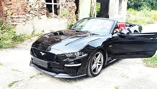Swinger King dan Bumskarre-nya, apa yang saya lakukan dengannya.