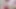 College Lover Showing Huge Boobs Garden With Audio