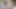 大きな丸いおっぱい以上の透明トップ