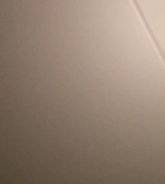 Big smooth ass ready for a cock