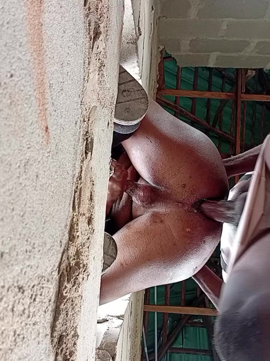 Big dick stroking the wet ass