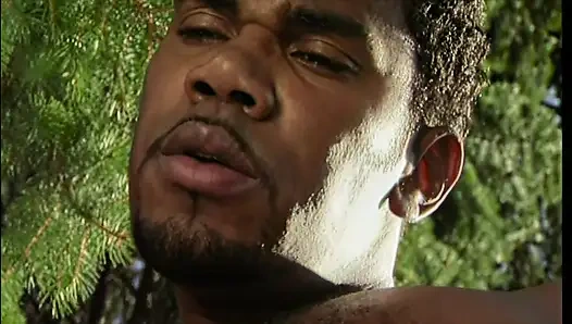 Красивая Блондинка, Трахаемая Чёрным В Лесу