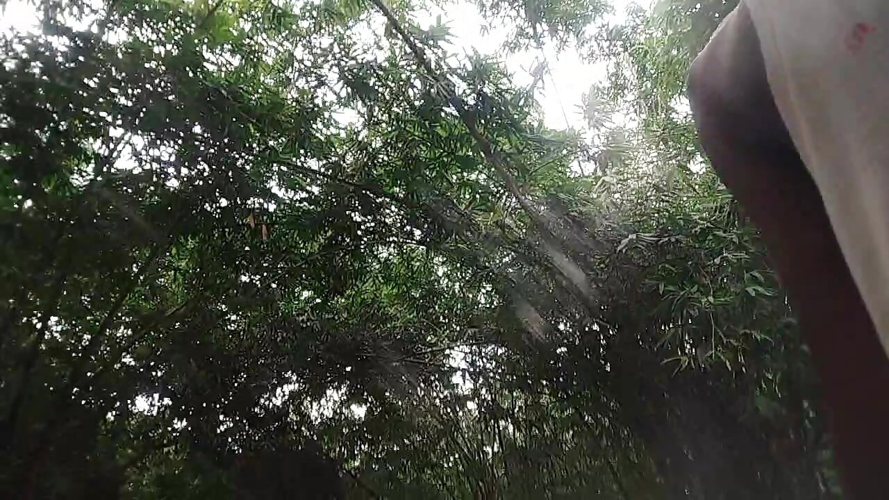 Very handsome desi gay boys forest