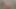 Eşcinsel pornosu (yeni venyveras3) amatör