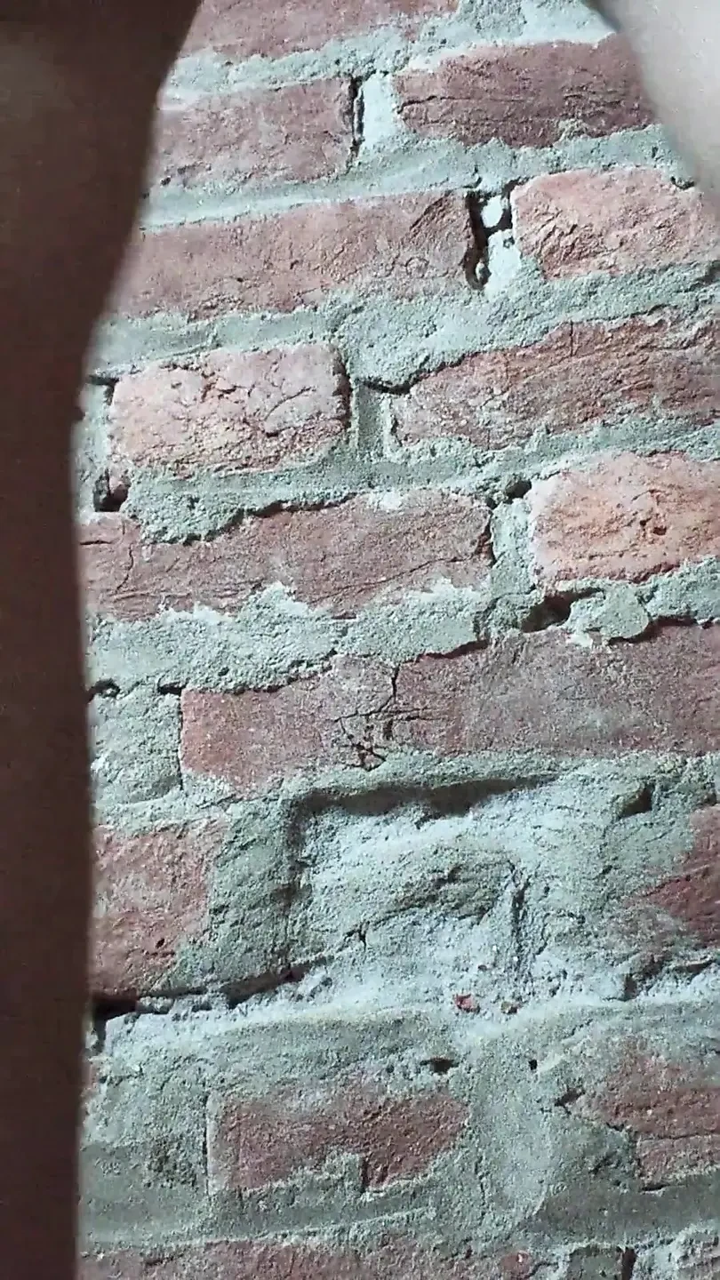 Sexy Video