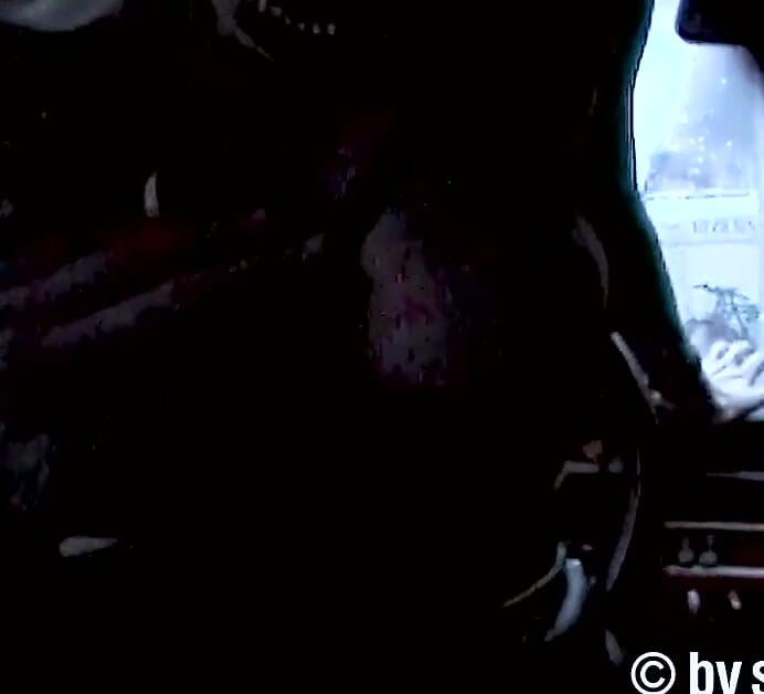 Perverse MILF wil in de auto stappen