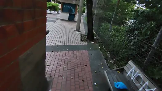 Colombian Woman Has Sex in Public with a Tourist