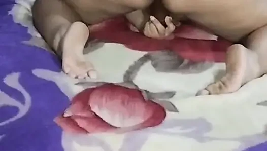 Seksi tavşan