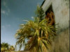 Pratinjau video