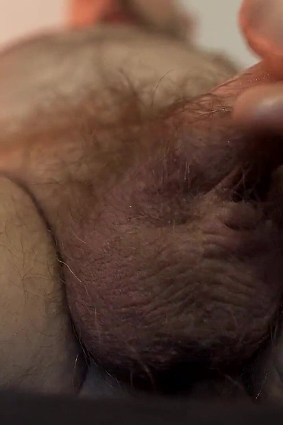 Bear Worships His Hairy Bull Balls, No Cum