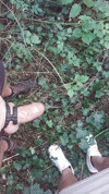 Pratinjau video