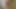 Cheating husband fuck a side girlfriend in the bush