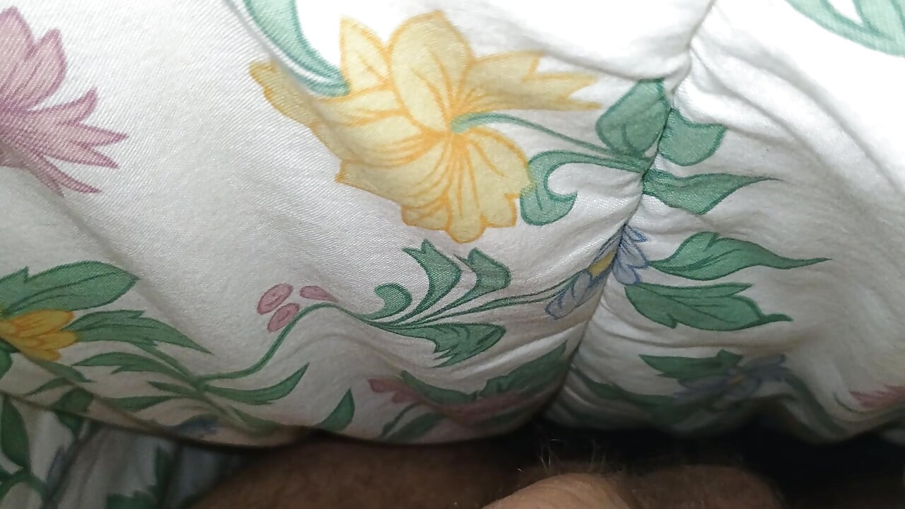 In the Bed Masturbation