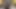 HUGE ASS Trans MILF Sucking Cock