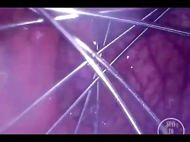 Whisk Spreading My Ass From Inside