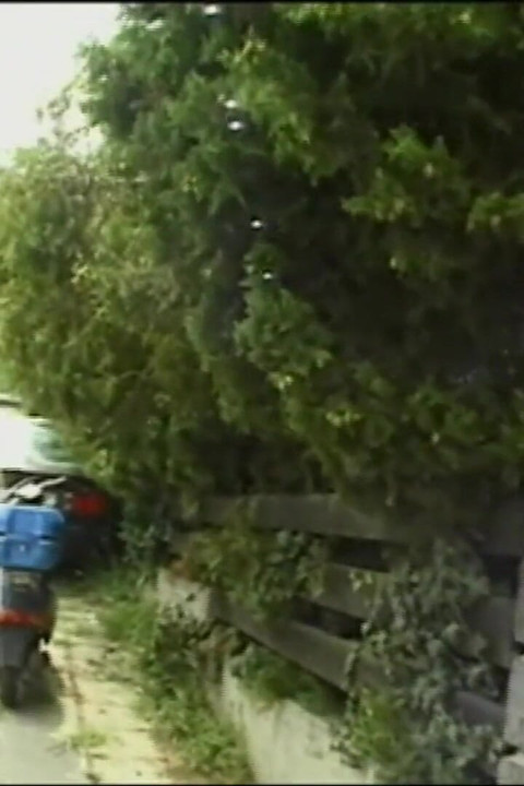 Double Penetration in the Garden