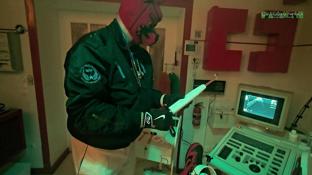 Playing Puppies the Second Examination