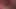 BBW Cock Sucker