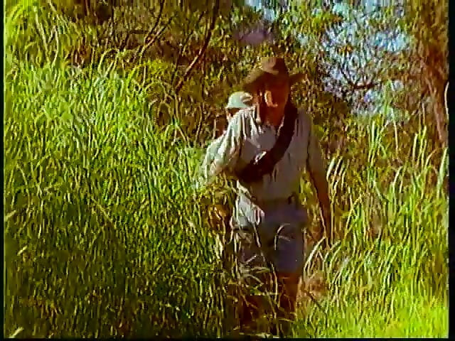 Blonde gets pounded by a very big cock in the wild nature