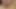 Cumshot EP 5