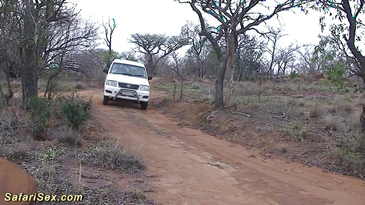 Safari africain dans la nature, orgie de baise