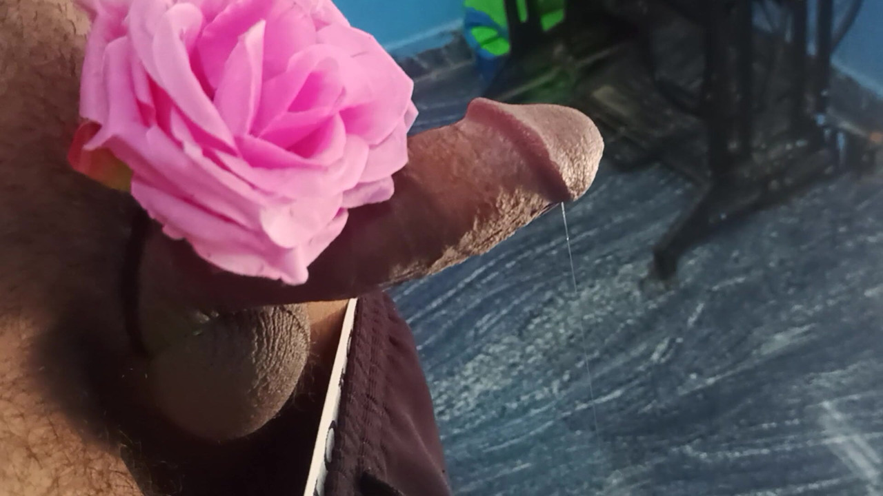 Quem precisa do meu 🌹