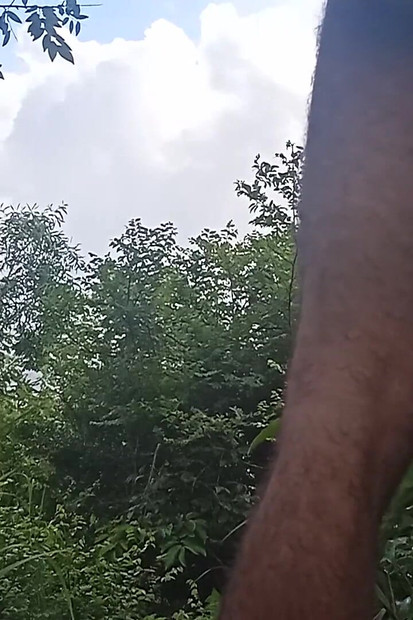 Too Beautiful Body Sync in Nature
