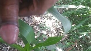 Băiat de burlac în videoclip sexual în pădure