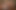 Sexy colegegirl barbie verführt ihren crush teacher für einen harten fick
