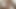 Amateur Brunette Latina Gives Massive White Dick POV Sloppy Blowjob!