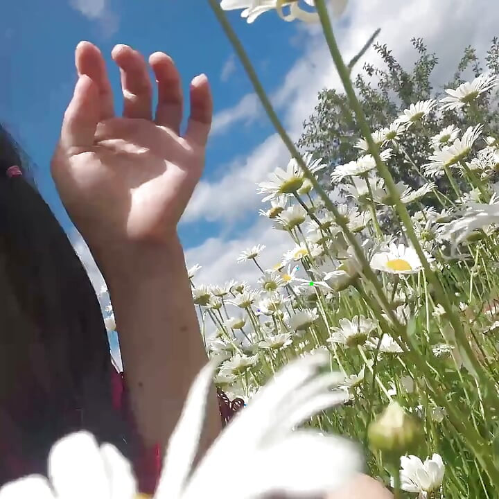 Mijo Para Jardinada Na Grama Bonita