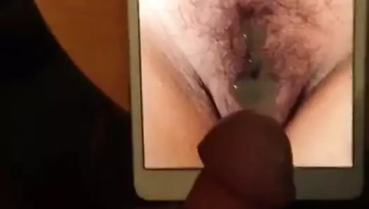 haraç