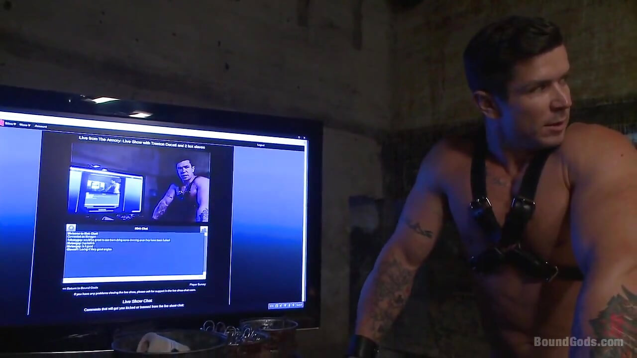 Are You a Happy Cow or a Sad Cow? - Live Show
