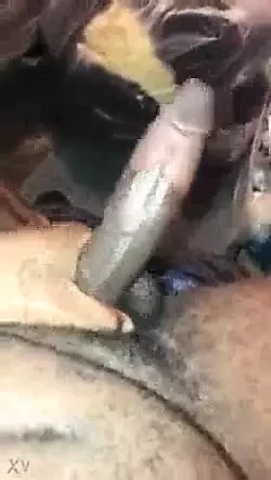 penisul meu