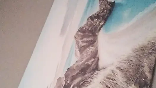 My bedroom is not a BNB but you know I am a good host when I have guests when I have invite people over and a good hot husband