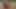 Risky sex outdoors, blowjob and sex in a chamomile field in nature. Doggy style, pussy close-up