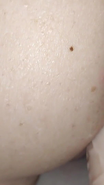 Pratonton Video