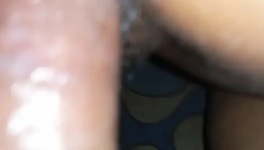 Goa Bandbir knackt Video mit bengalischem Story Sign