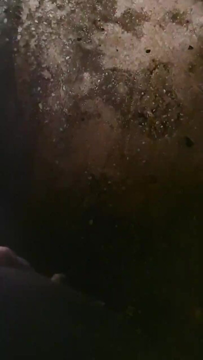 خنزير إيطالي يتبول في موقف الشاحنات