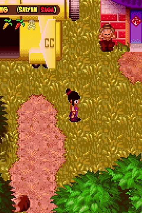 Kamesutra Dbz Erogame 63 a New Relationship