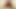 Wank and Cum on nylon - Juicy Nylon